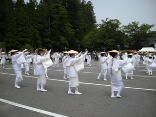 DSCN0730.JPG