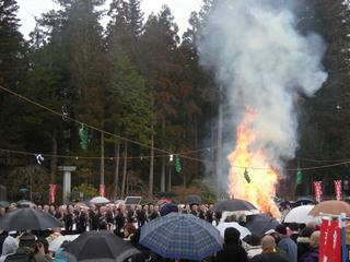 DSCN0852.JPG