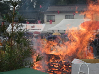 DSCN0856.JPG