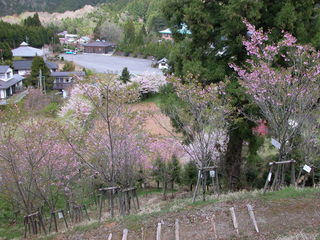 DSCN2061.JPG