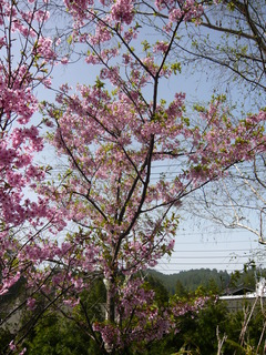 山本(大学).JPG